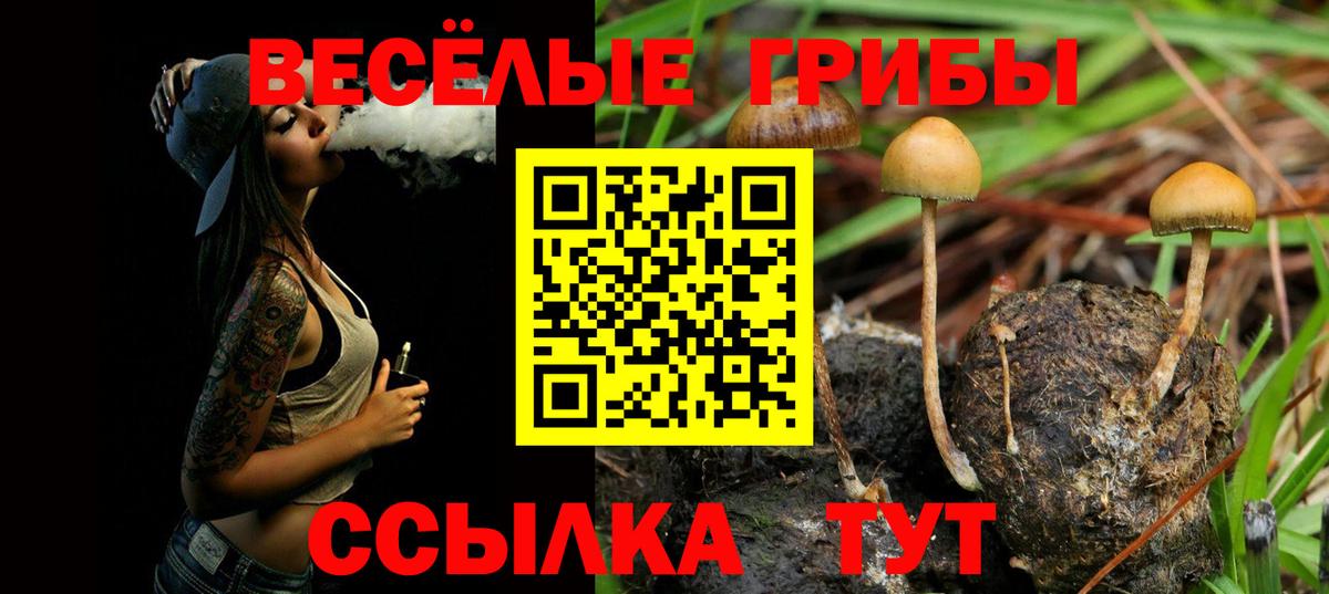 Галлюциногенные грибы прущие грибы  купить наркоту  Саяногорск  Вход с VPN 